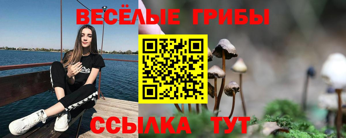 Фурманов  Псилоцибиновые грибы Cubensis  Вход с VPN 